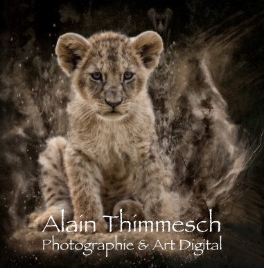 Alain Thimmesch book cover