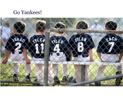 Go Yankees! book cover