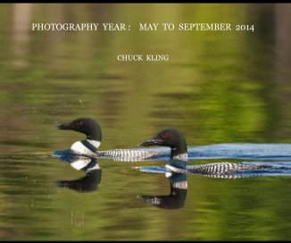 PHOTOGRAPHY YEAR : MAY TO SEPTEMBER 2014 book cover