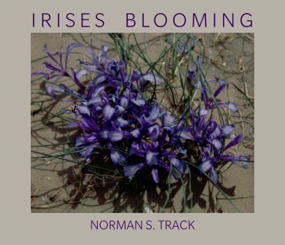 Irises Blooming book cover