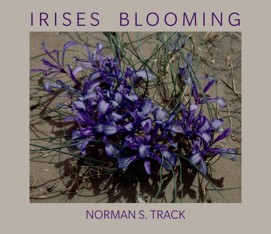 View Irises Blooming by Norman S. Track