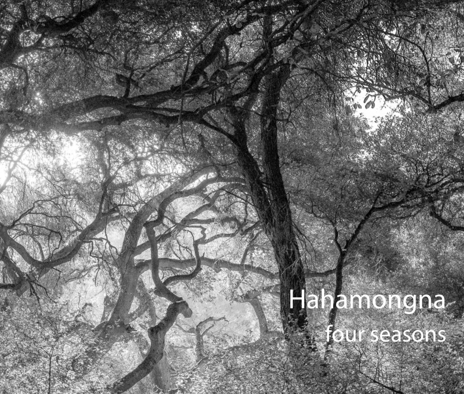 View Hahamongna (BW photography) by Ales Litomisky