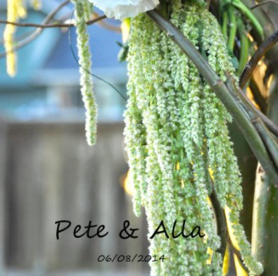 Pete and Alla book cover