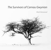 The Survivors of Carnau Gwynion book cover