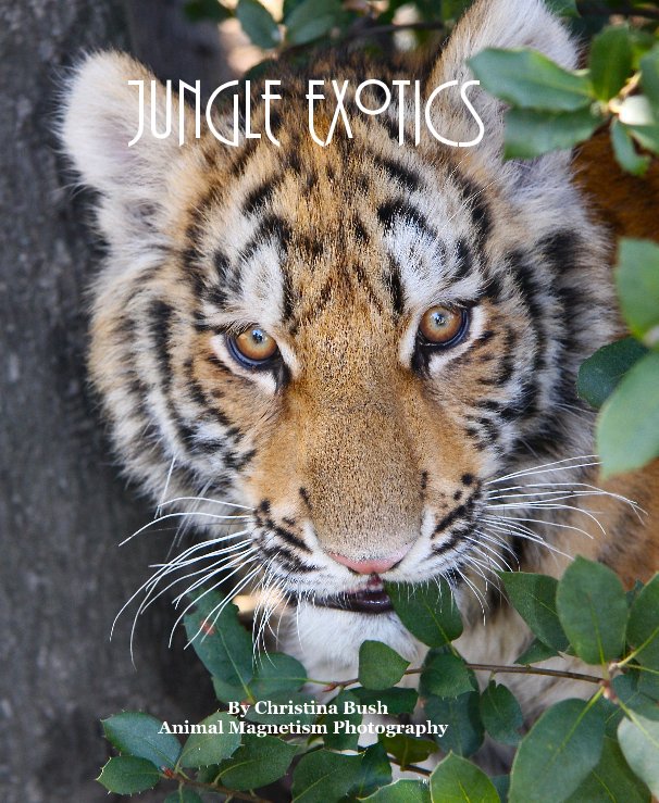 Ver Jungle Exotics por Christina Bush Animal Magnetism Photography