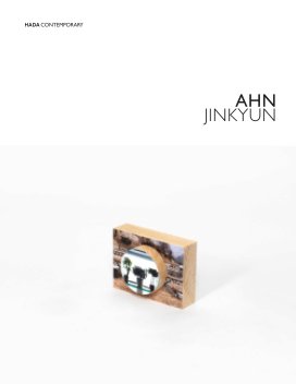 Ahn Jinkyun book cover