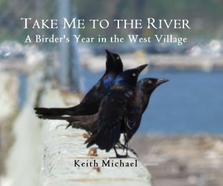 TAKE ME TO THE RIVER A Birder's Year in the West Village book cover