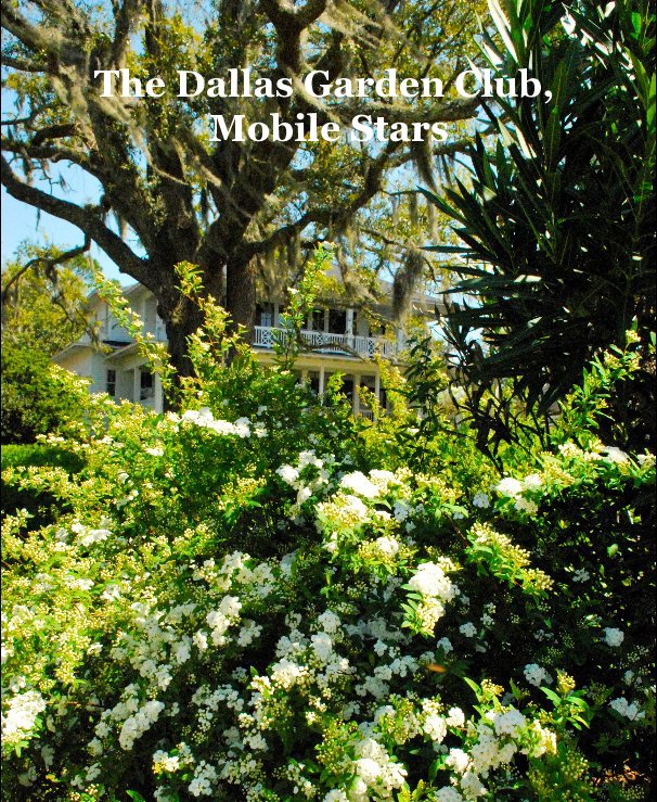 View The Dallas Garden Club, Mobile Stars by Debra Miller