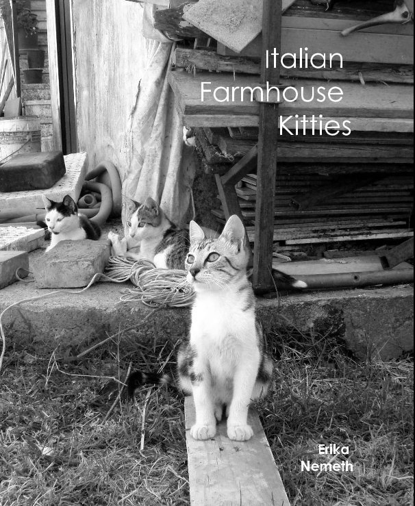View Italian Farmhouse Kitties by Erika Nemeth