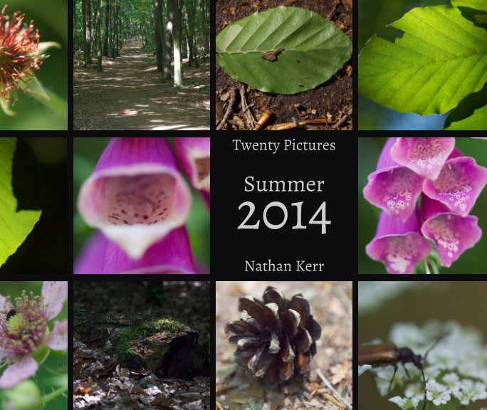 View Twenty Pictures: Summer 2014 by Nathan Kerr