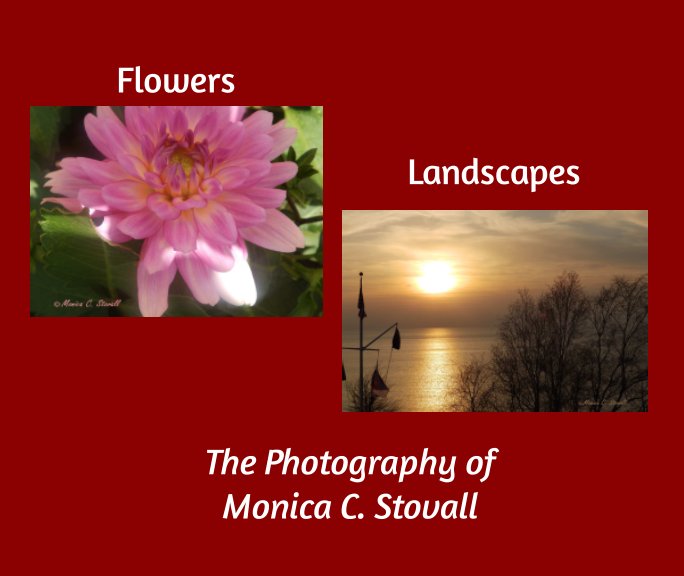 Visualizza Flowers and Landscapes di Monica C. Stovall