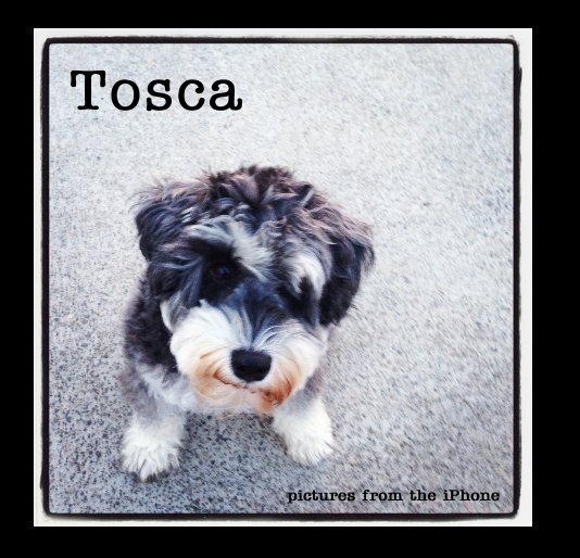 View Tosca by Aunty Mandy - Crazy Dog Lady