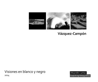 Visiones en blanco y negro 2014 -Emilio book cover