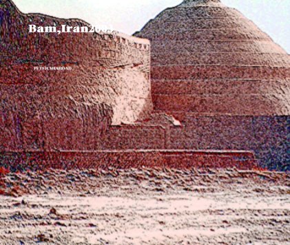 Bam,Iran2003 book cover