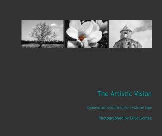 The Artistic Vision book cover