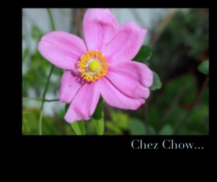 Chez Chow... book cover