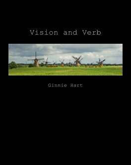Vision and Verb book cover