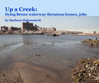 Up a Creek: Dying Bronx waterway threatens homes, jobs by Barbara Habenstreit book cover