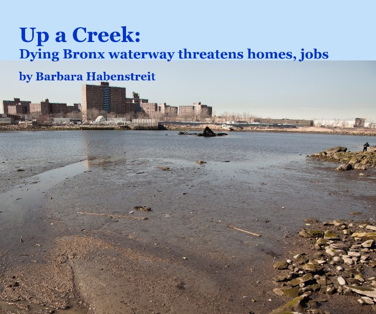 View Up a Creek: Dying Bronx waterway threatens homes, jobs by Barbara Habenstreit by Barbara Habenstreit