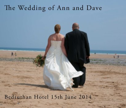 The Wedding of Ann and Dave book cover