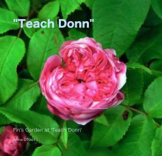 "Teach Donn" book cover