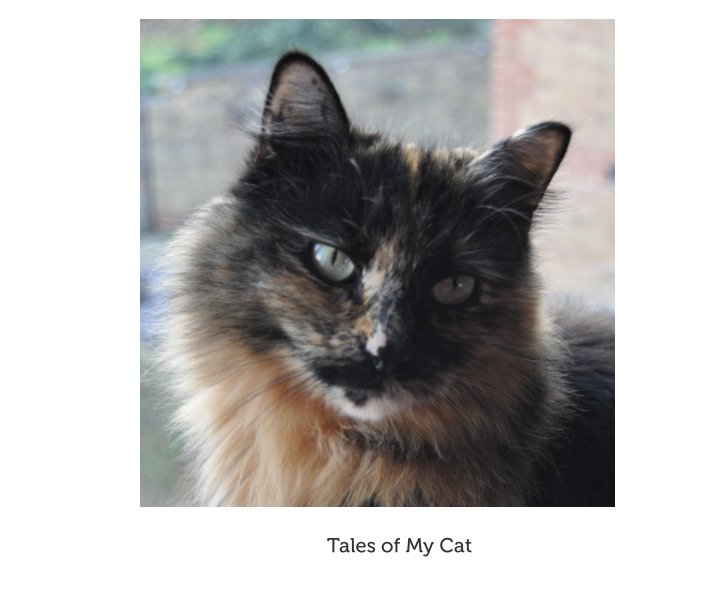 Visualizza Tales of My Cat di Patricia How