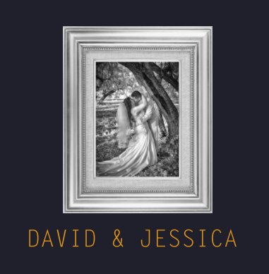 David & Jessica Reyna book cover