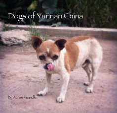 Dogs of Yunnan China book cover