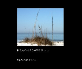 BEACHSCAPES Volume I book cover