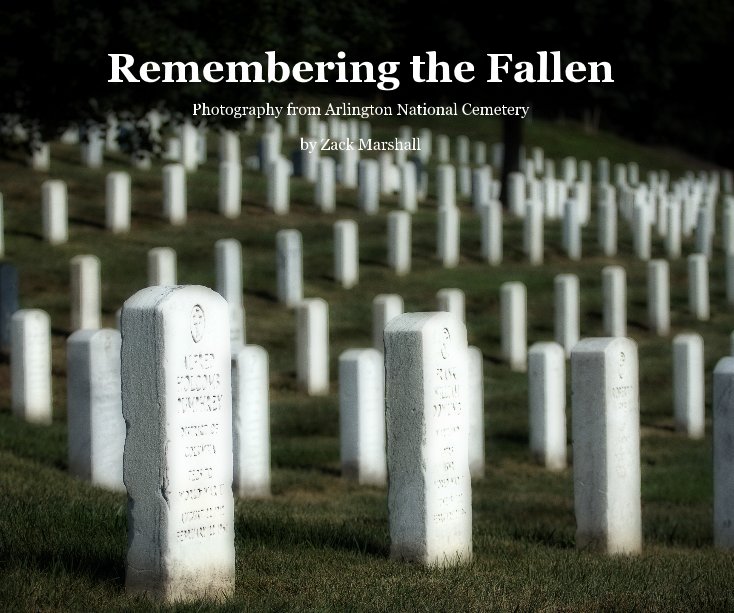 View Remembering the Fallen by Zack Marshall