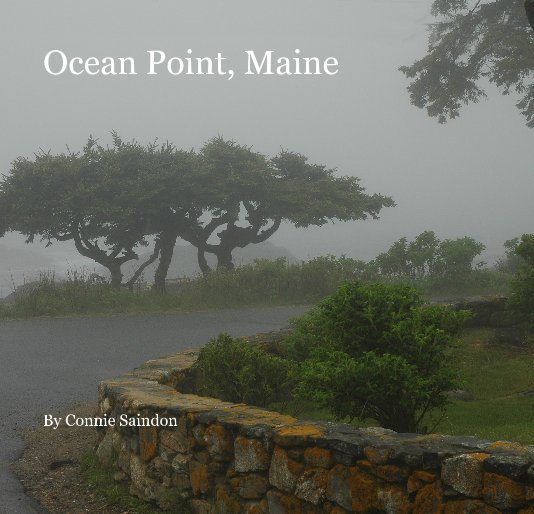 View Ocean Point, Maine by Connie Saindon