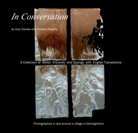 View In Conversation by Huw Davies with Bobbie Roberts