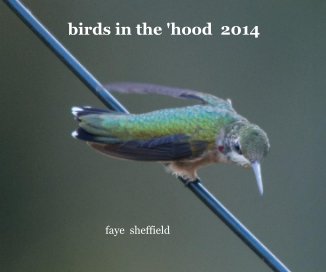birds in the 'hood 2014 book cover