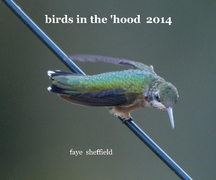 View birds in the 'hood 2014 by faye sheffield
