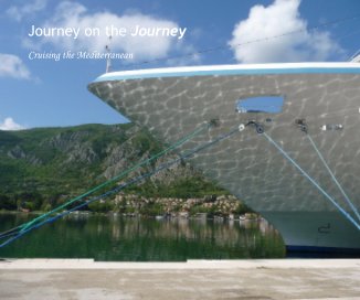 Journey on the Journey book cover
