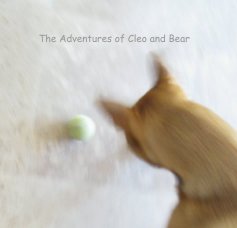 The Adventures of Cleo and Bear book cover