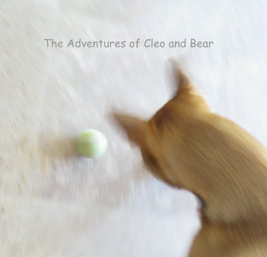 View The Adventures of Cleo and Bear by julie easton