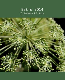 Estiu 2014 book cover