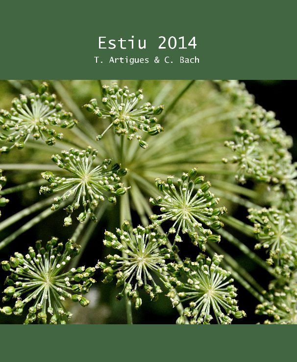 View Estiu 2014 by T. Artigues & C. Bach