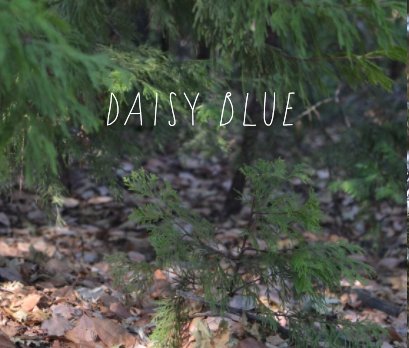 Daisy Blue book cover
