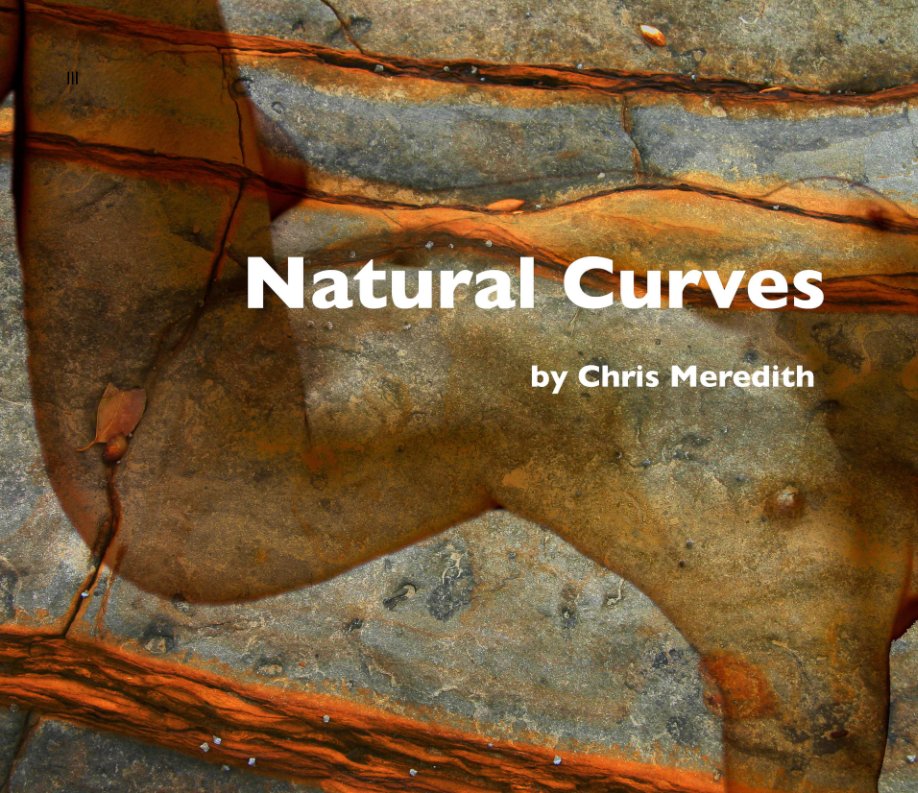 View Natural Curves by Chris Meredith