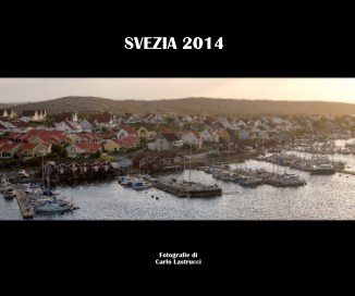 SVEZIA 2014 book cover