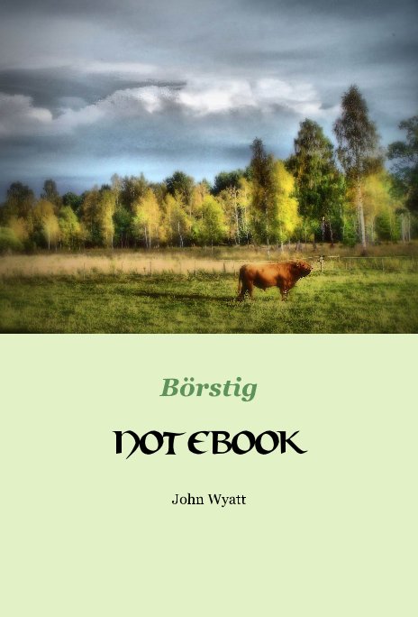 View Börstig Notebook by John R. Wyatt