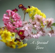 A Special Love book cover