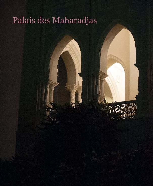 View Palais des Maharadjas by Didier Roy