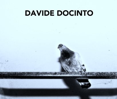 DAVIDE DOCINTO book cover