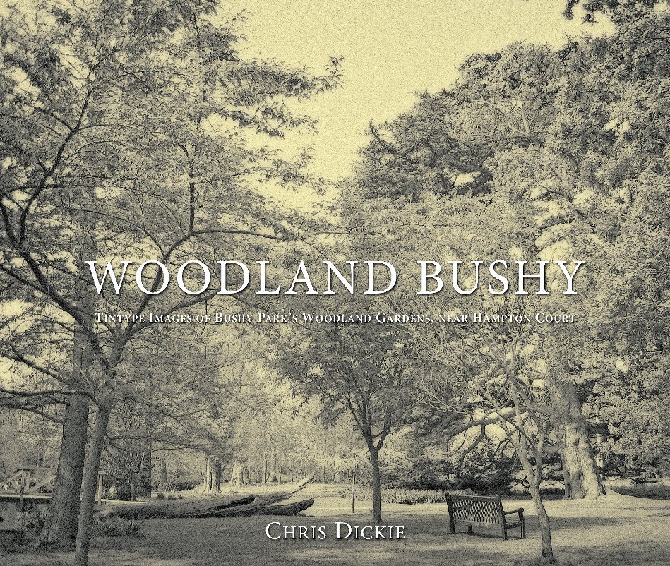 View Woodland Bushy by Chris Dickie