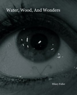 Water, Wood, And Wonders book cover