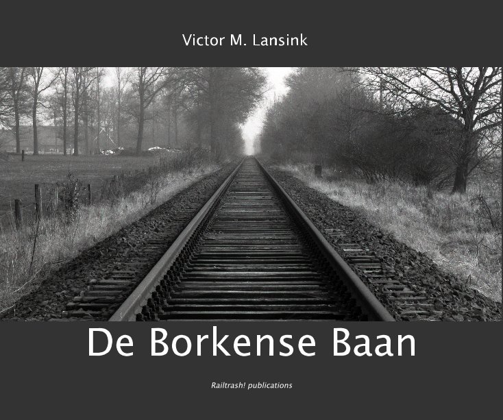 View De Borkense Baan by Victor M. Lansink