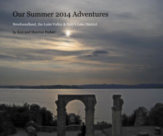 Our Summer 2014 Adventures book cover